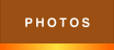 Voir la galerie de photos